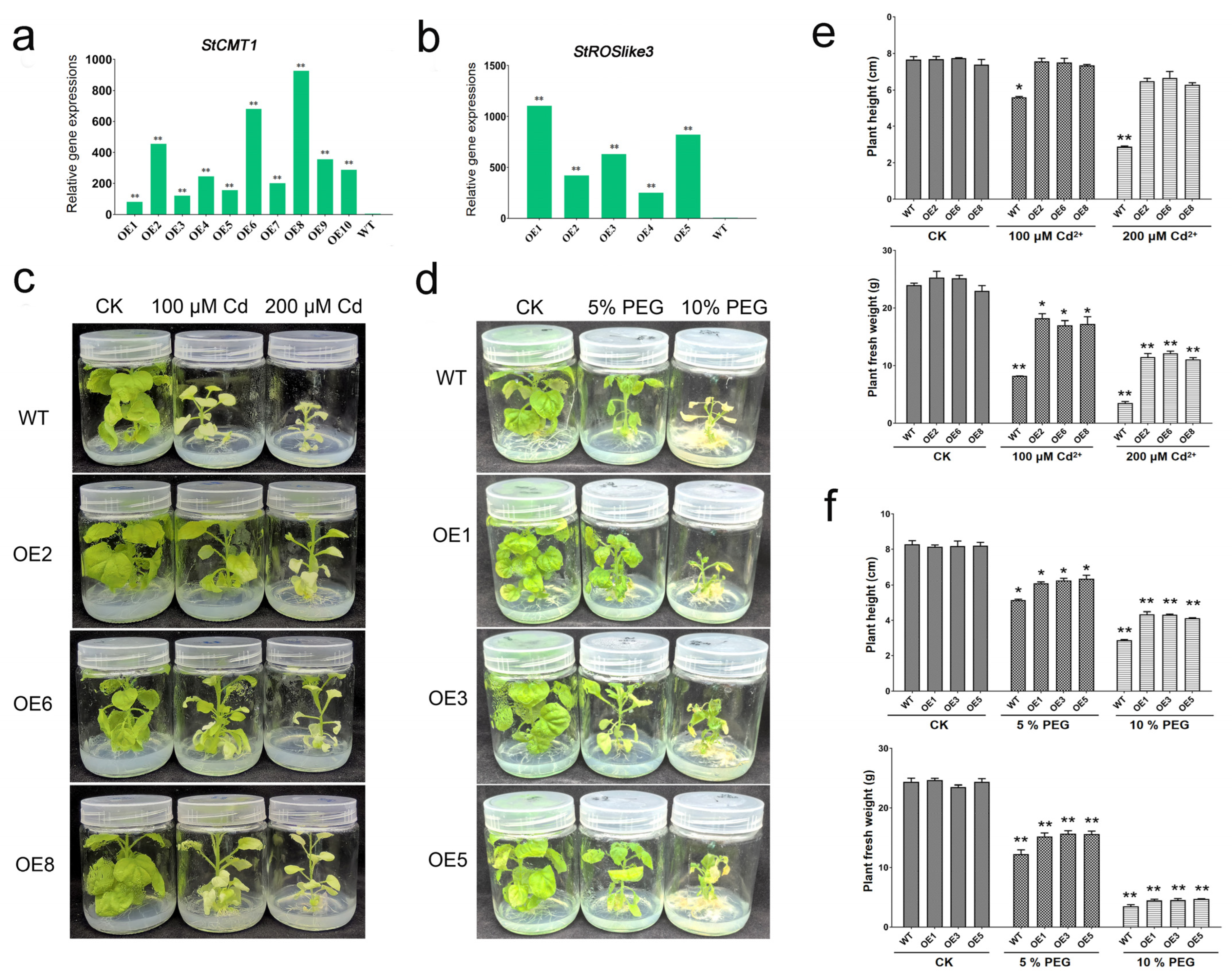 Plants 15 00396 g010
