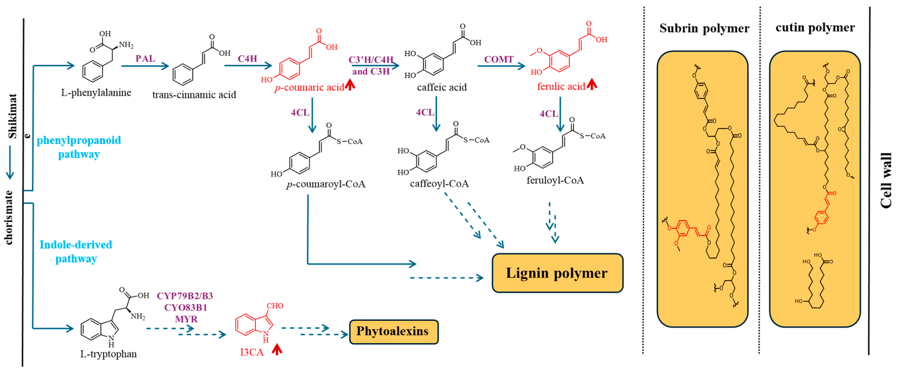 Plants 15 00408 g003 Plants 15 00408 g003