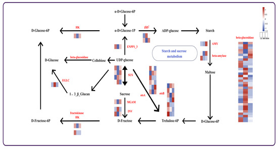 Exogenous Melatonin Confers Salt-Alkali Tolerance in Fraxinus