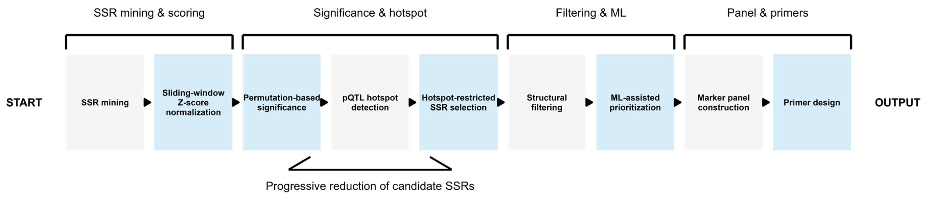 Plants 15 00454 g013