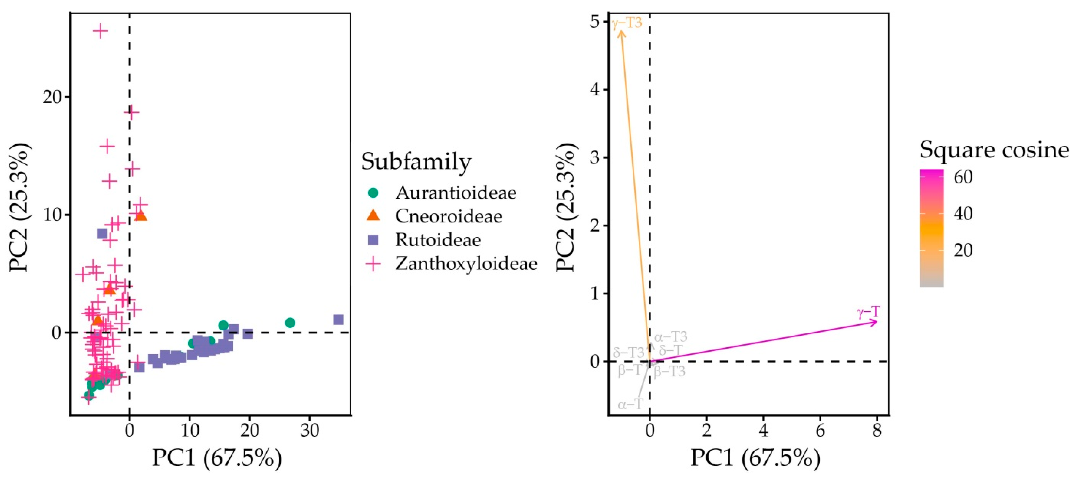 Plants 15 00455 g005