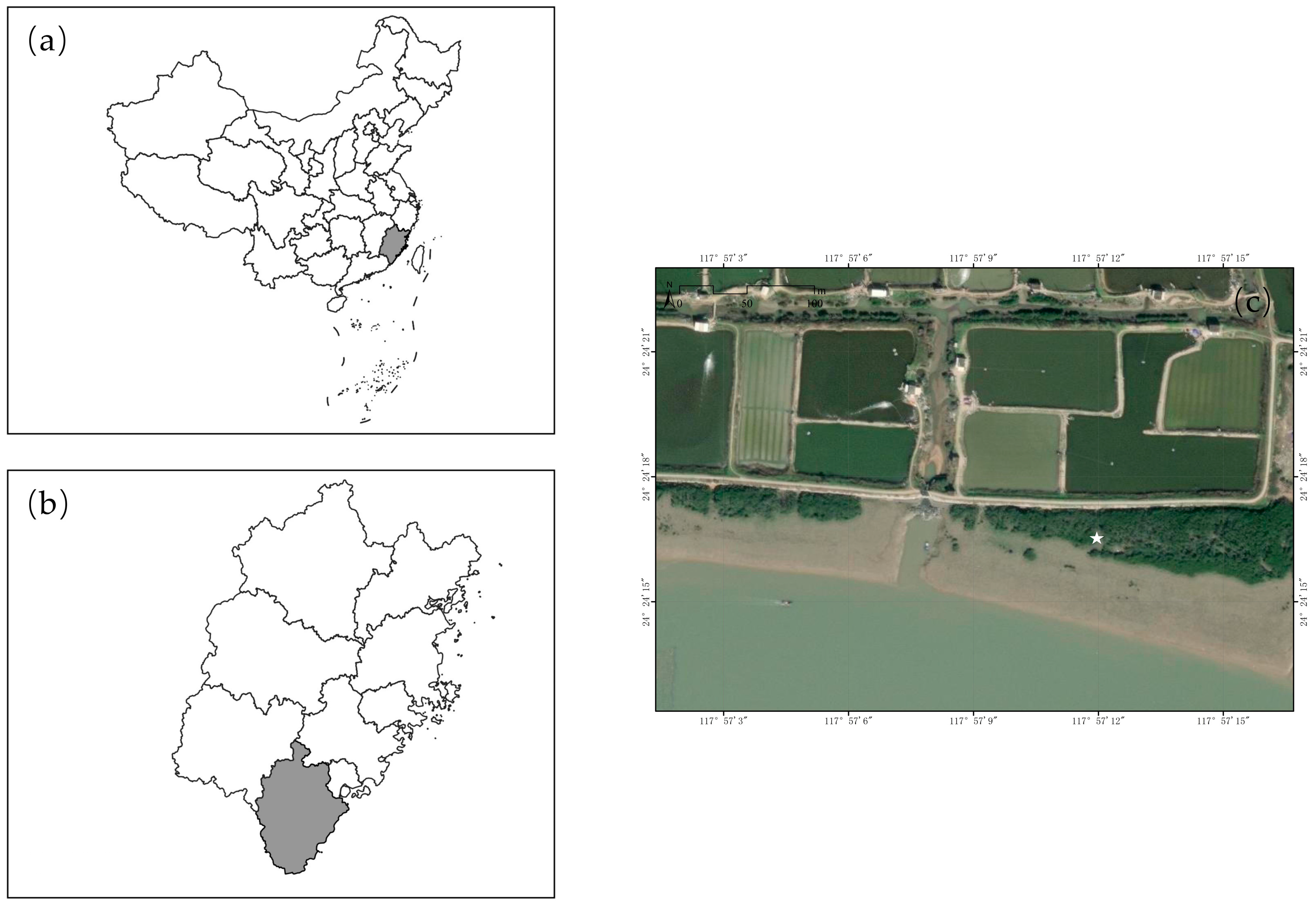 Plants 15 00478 g001