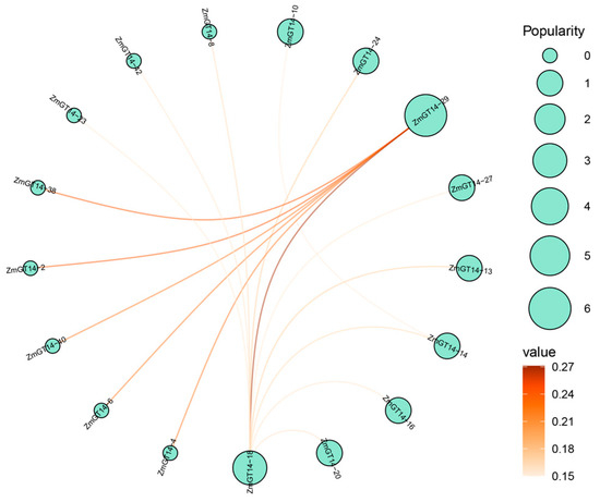 Genome-Wide Identification and Characterization of the Maize