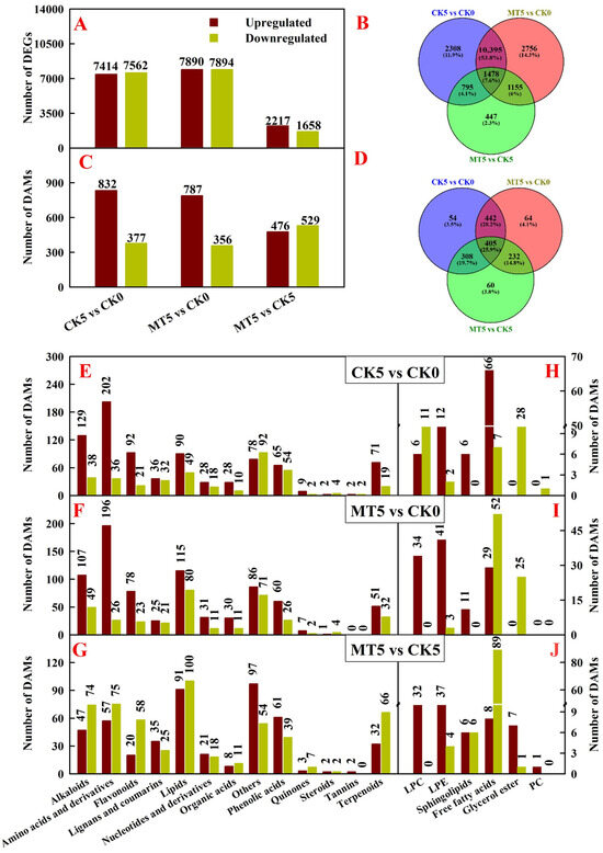 Integrated Multi-Omics Analysis Reveals Lipid Metabolism-Mediated
