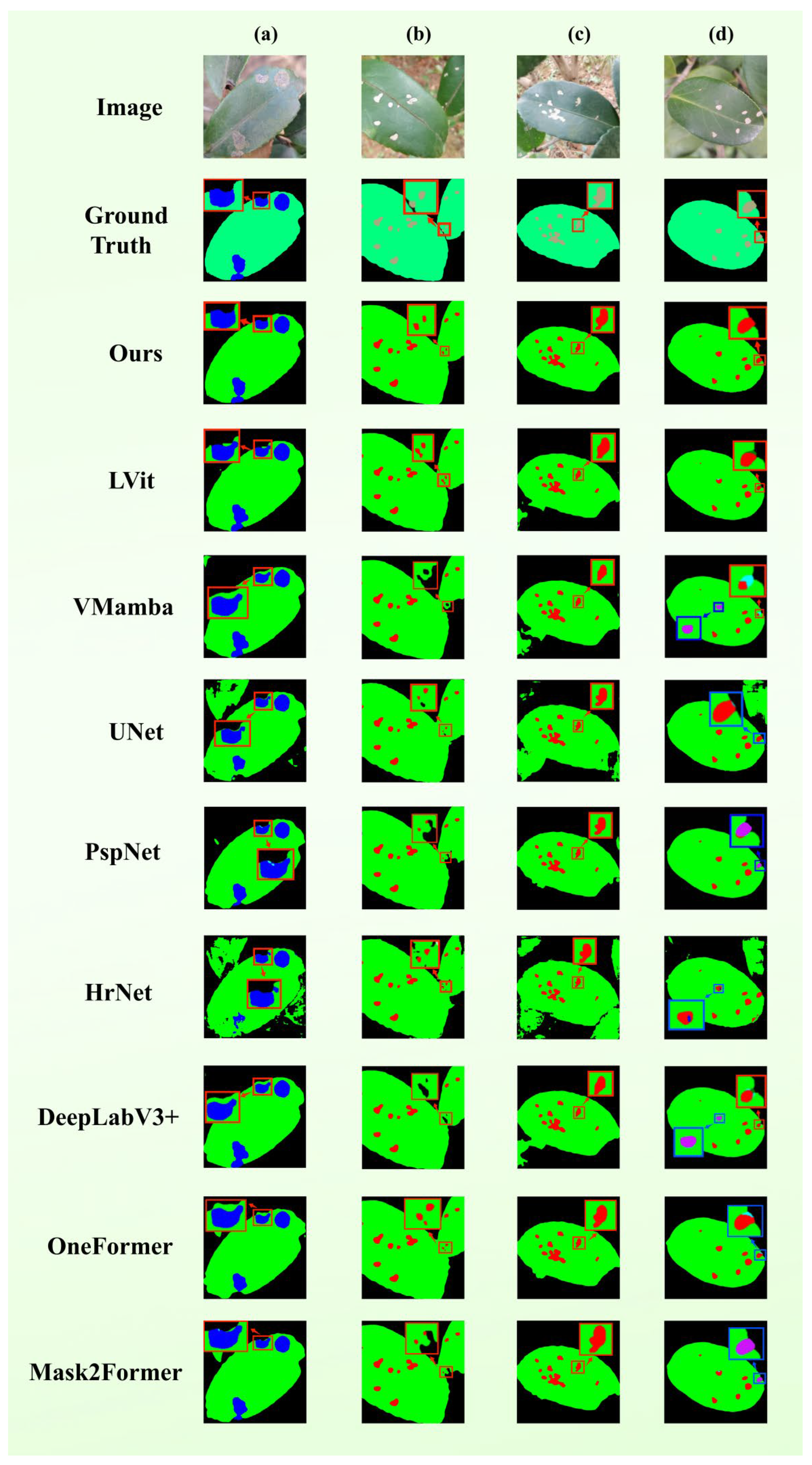 Plants 15 01035 g002