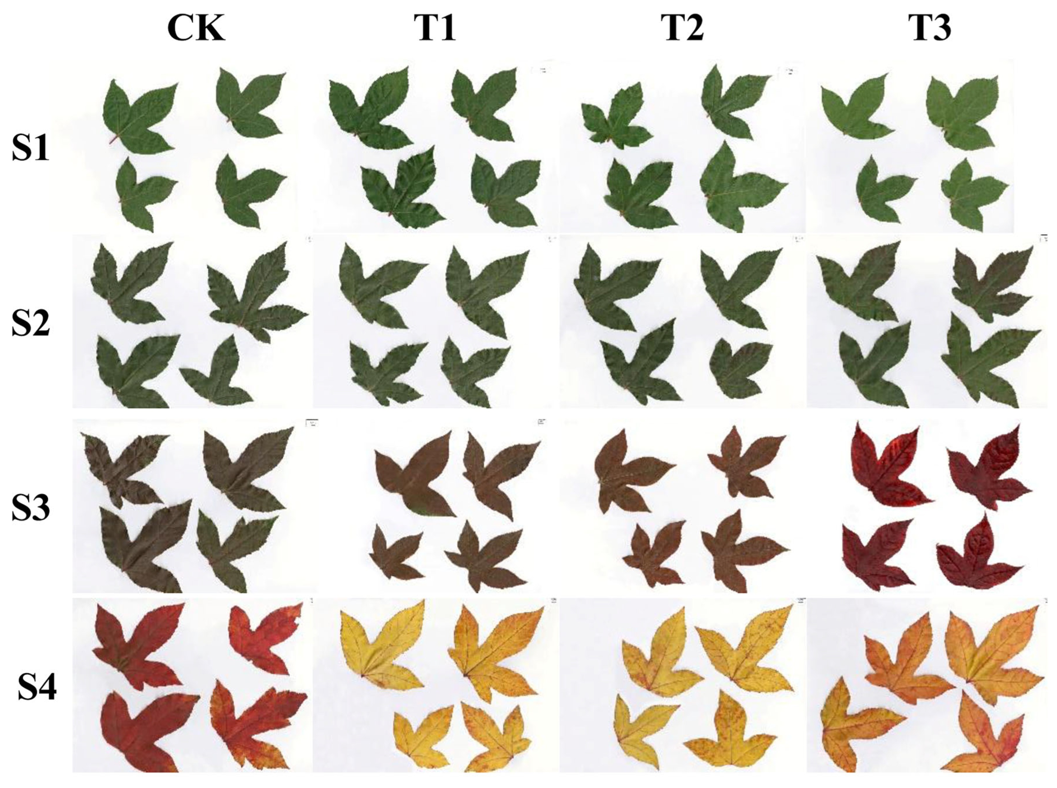 Plants 15 01173 g001