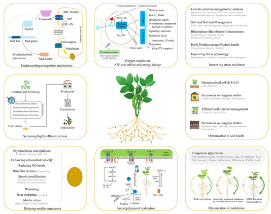 Breeding Climate-Resilient Soybeans for 2050 and Beyond