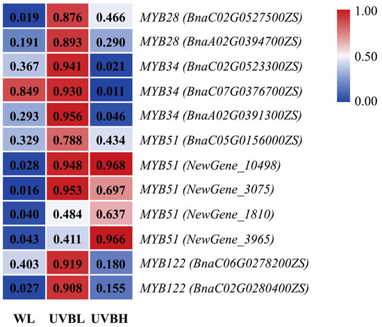 Transcriptome Analysis Reveals Intensity-Dependent Regulation of