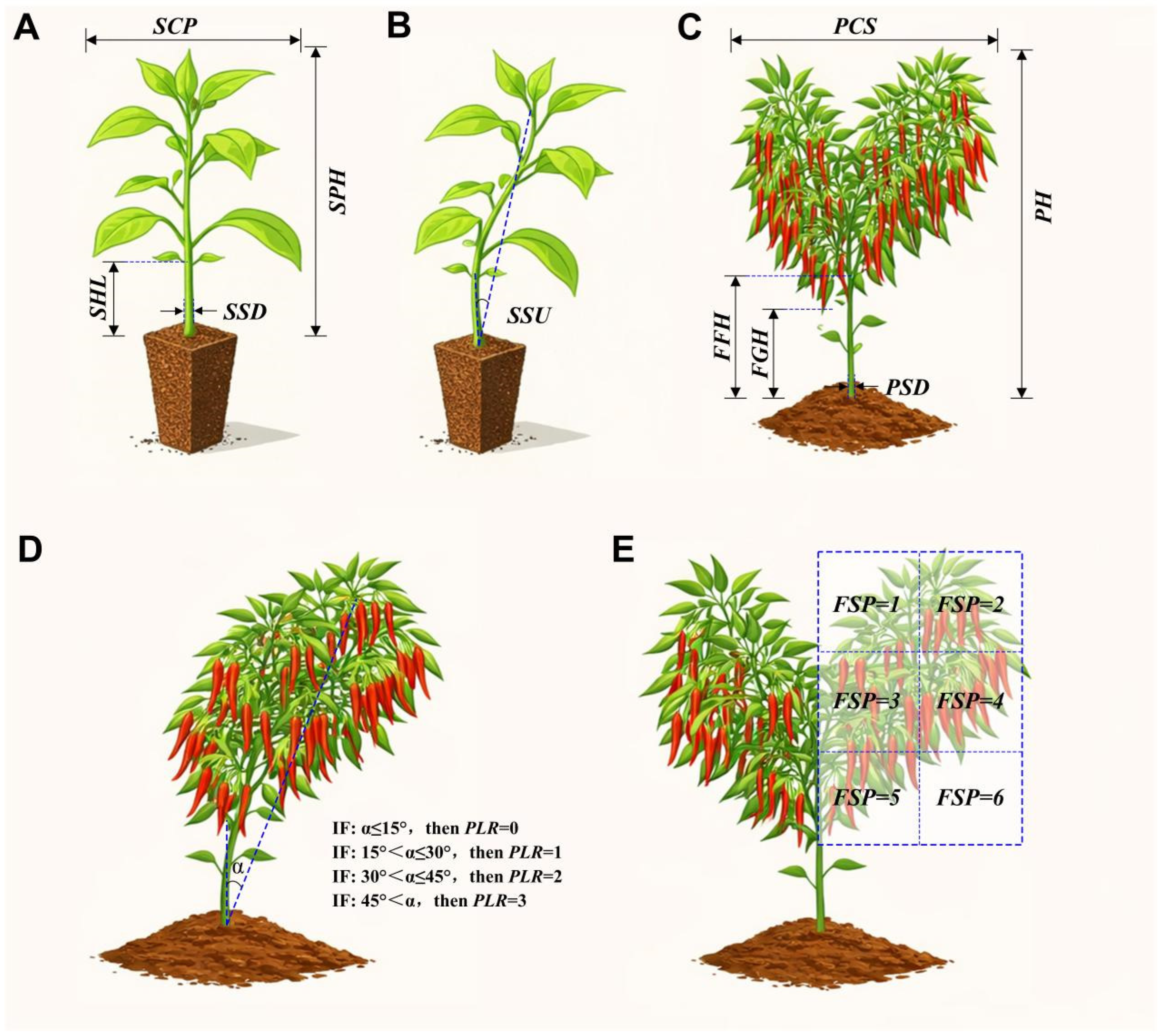 Plants 15 01441 g002