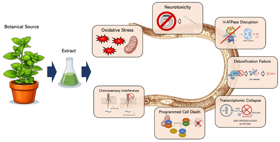 Botanical Extracts for the Control of Plant-Parasitic Nematodes: Diversity,  Modes of Action, Advanced Formulations, and Efficacy