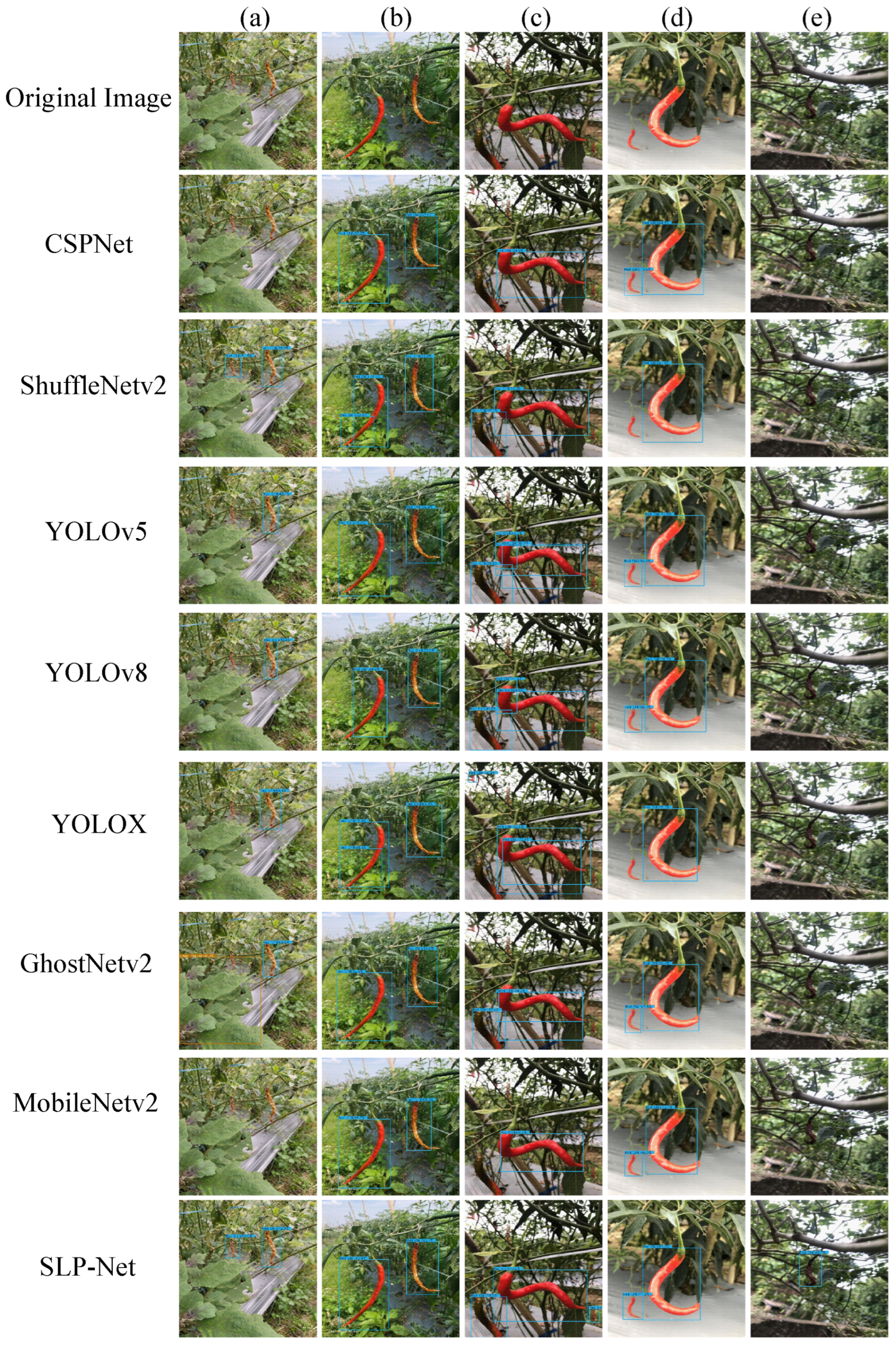 Plants 15 01521 g007