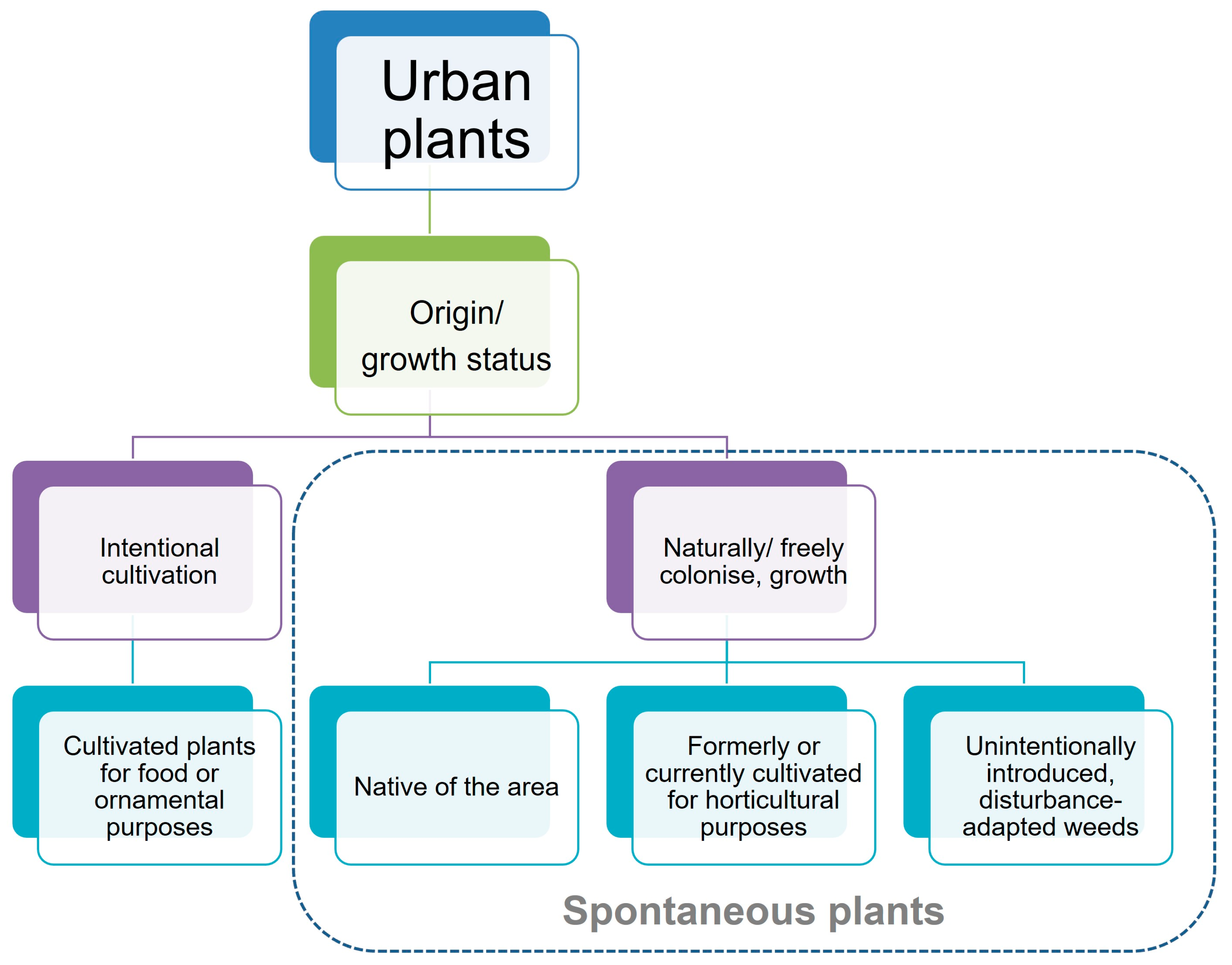 Plants 15 01576 g001