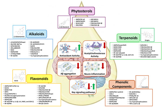 Unlocking the Power of Plant-Derived Natural Products: Therapeutic