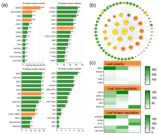 Identification and Functional Validation of Key Regulatory Genes