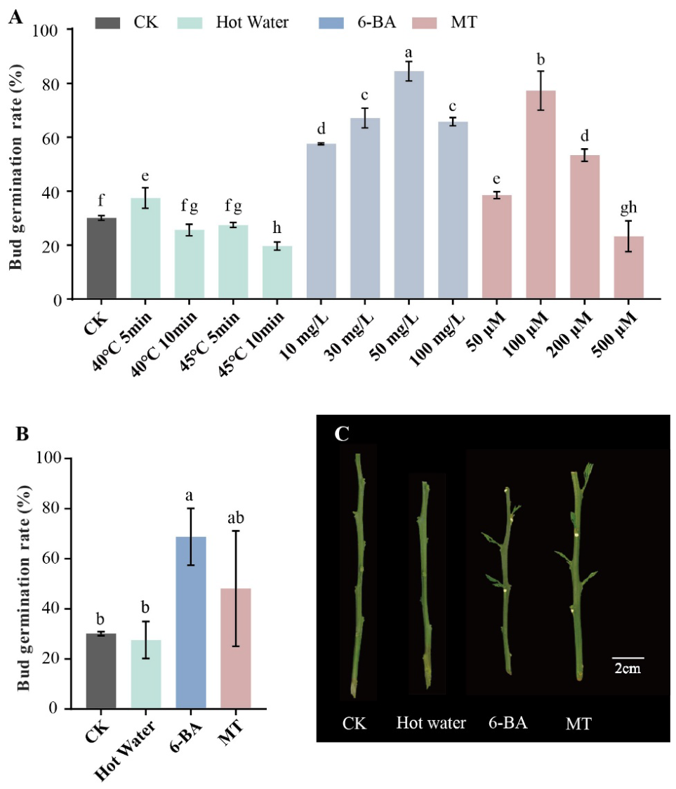 Plants 15 01674 g001 Plants 15 01674 g001