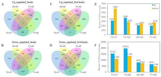 fxファイナンシャルーアカデミー Variations in Ecological Locations Induce Soybean Seed Wrinkles by