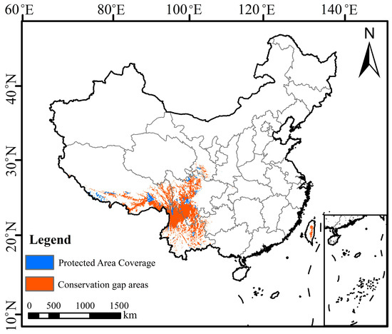 Potential Suitable Habitat Prediction and Distribution Patterns of