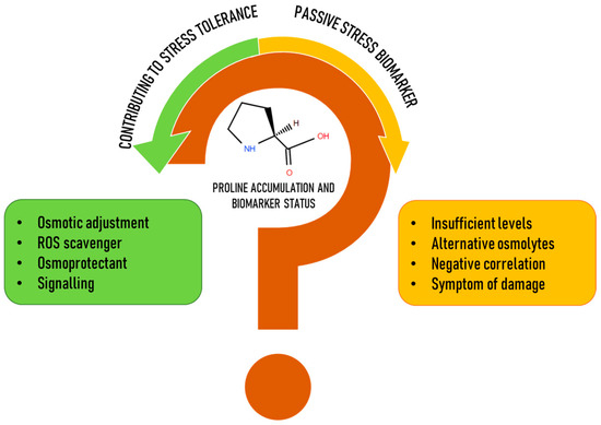 Proline: A Reliable Biochemical Marker of Plant Abiotic Stress Tolerance?