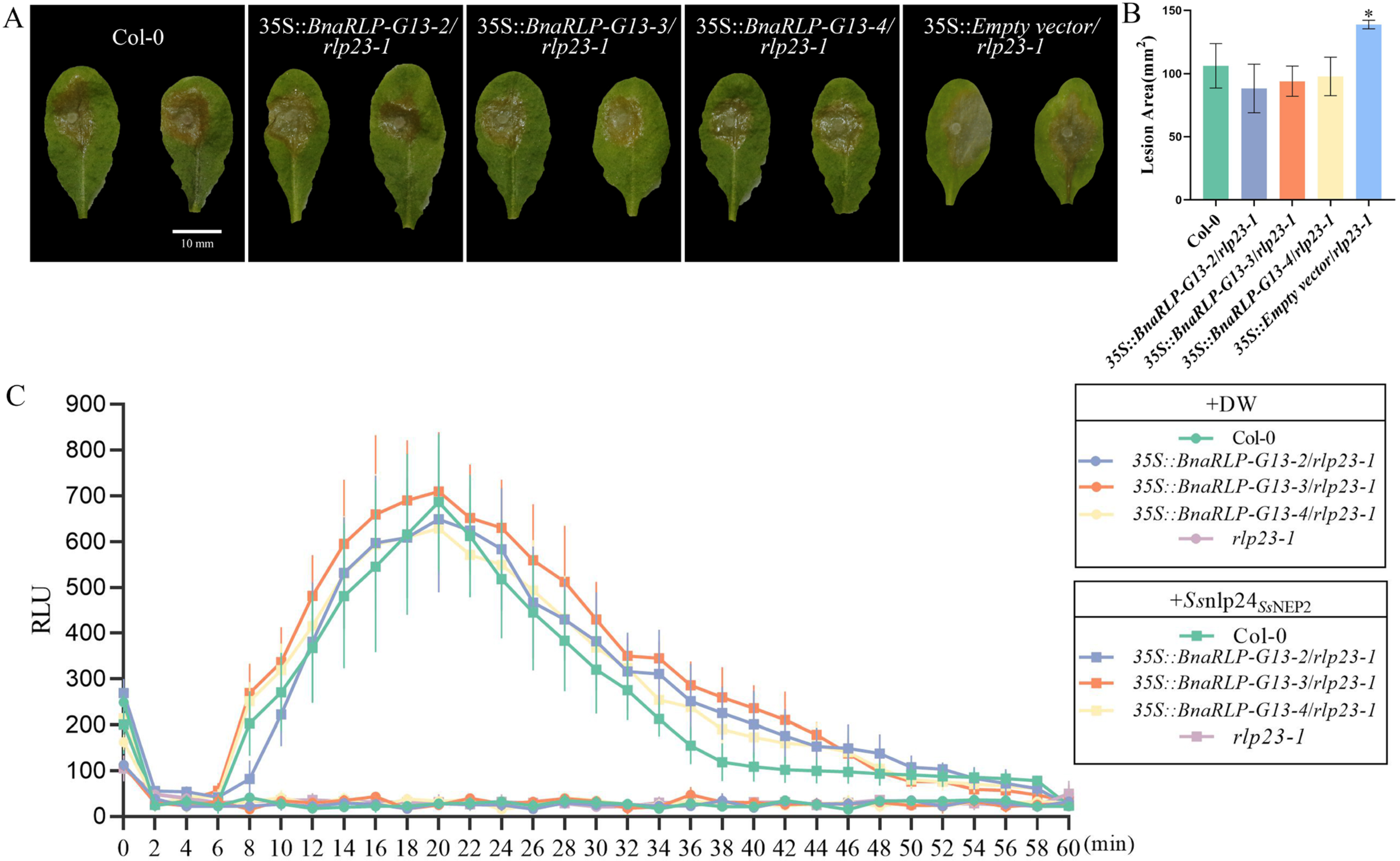 Plants 15 02545 g007 Plants 15 02545 g007
