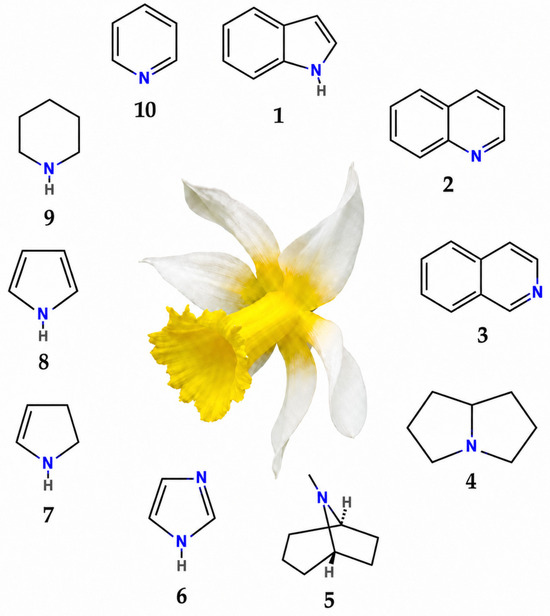 Amaryllidaceae Alkaloids and Isoquinoline Alkaloids: A Perspective