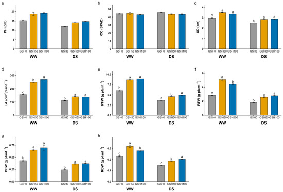 glutathione estimation in plants Multilevel Analysis of Glutathione-Induced Responses Pepper Seedlings Under Water-Deficit Conditions glyceryl-glucoside