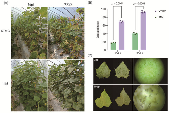 Comparative Transcriptomics Reveals Defense Mechanisms Against
