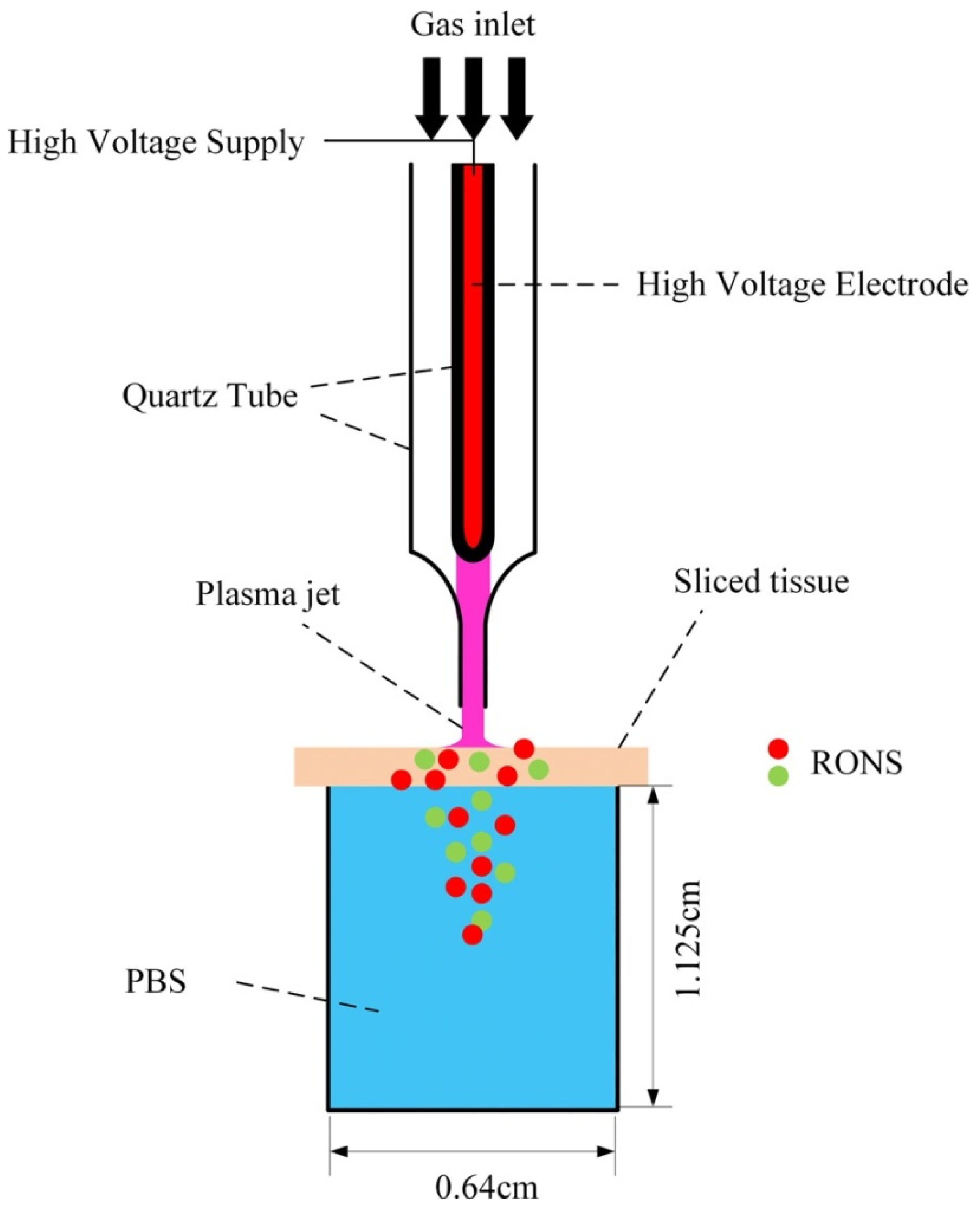 Steam cell plasma фото 85