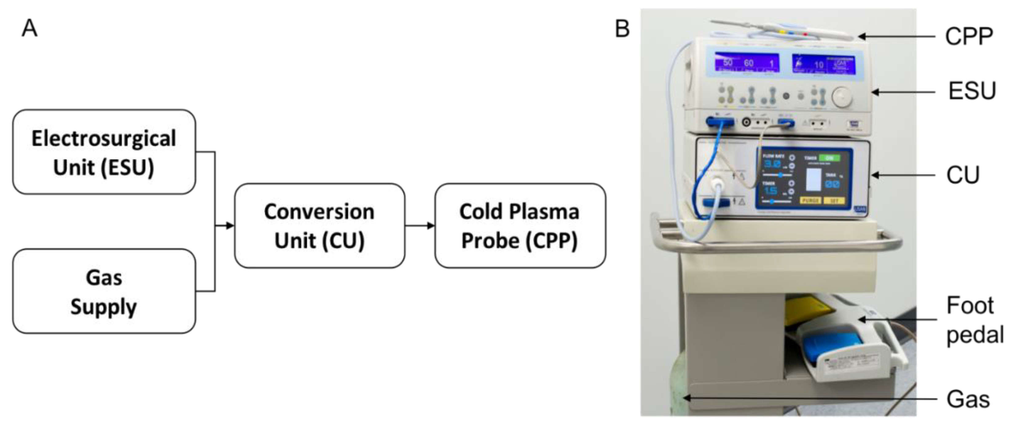 Treatment of Triple-Negative Breast Cancer Cells with the Canady