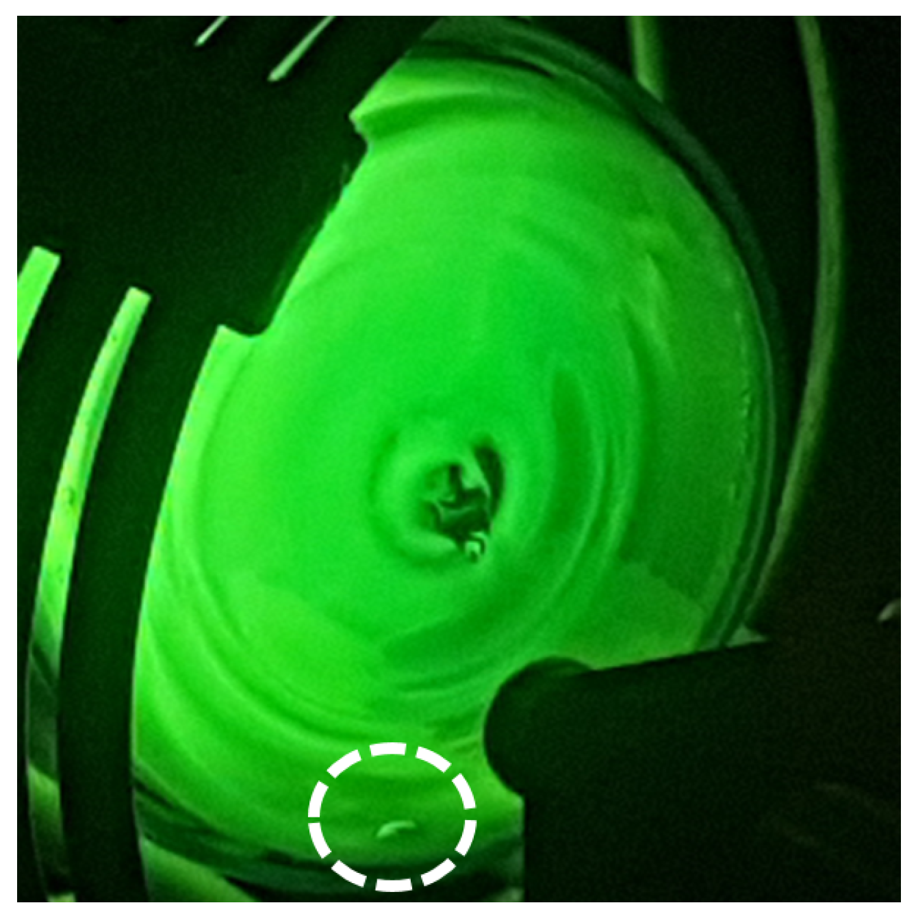 Plasma 03 00001 g005