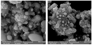 Plasma 03 00011 i002