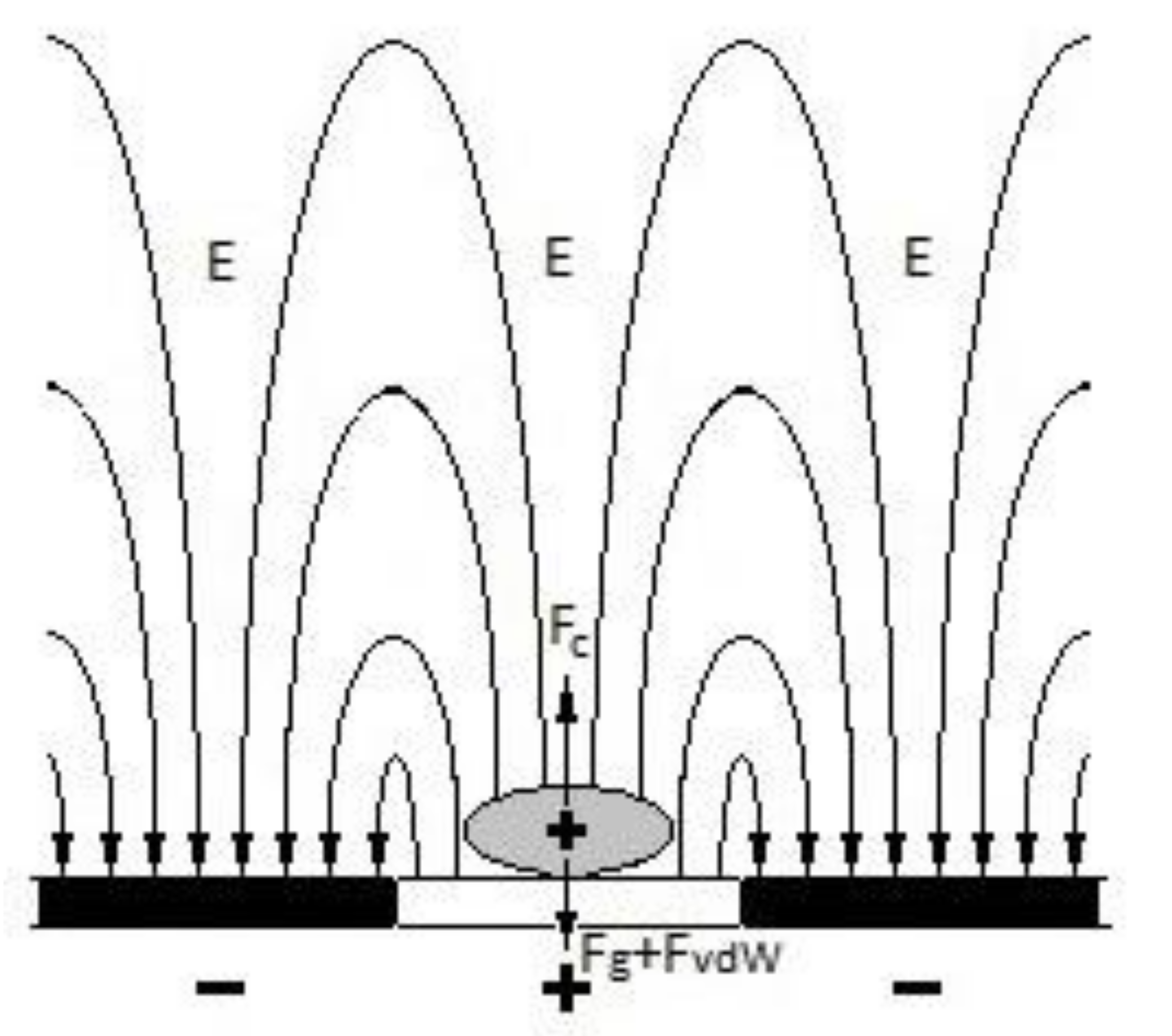 Plasma 04 00012 g002