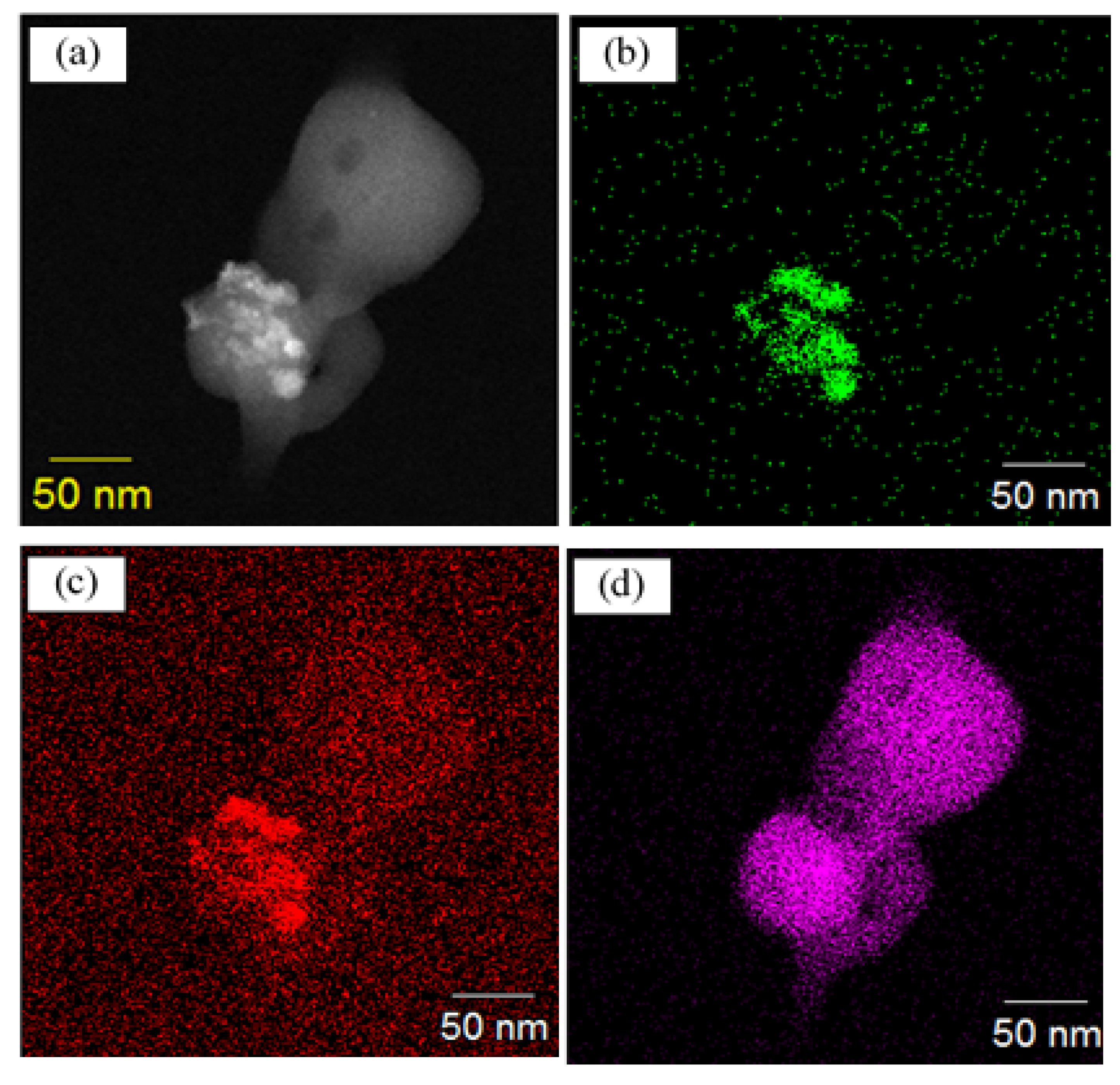 Plasma 04 00021 g012 Plasma 04 00021 g012