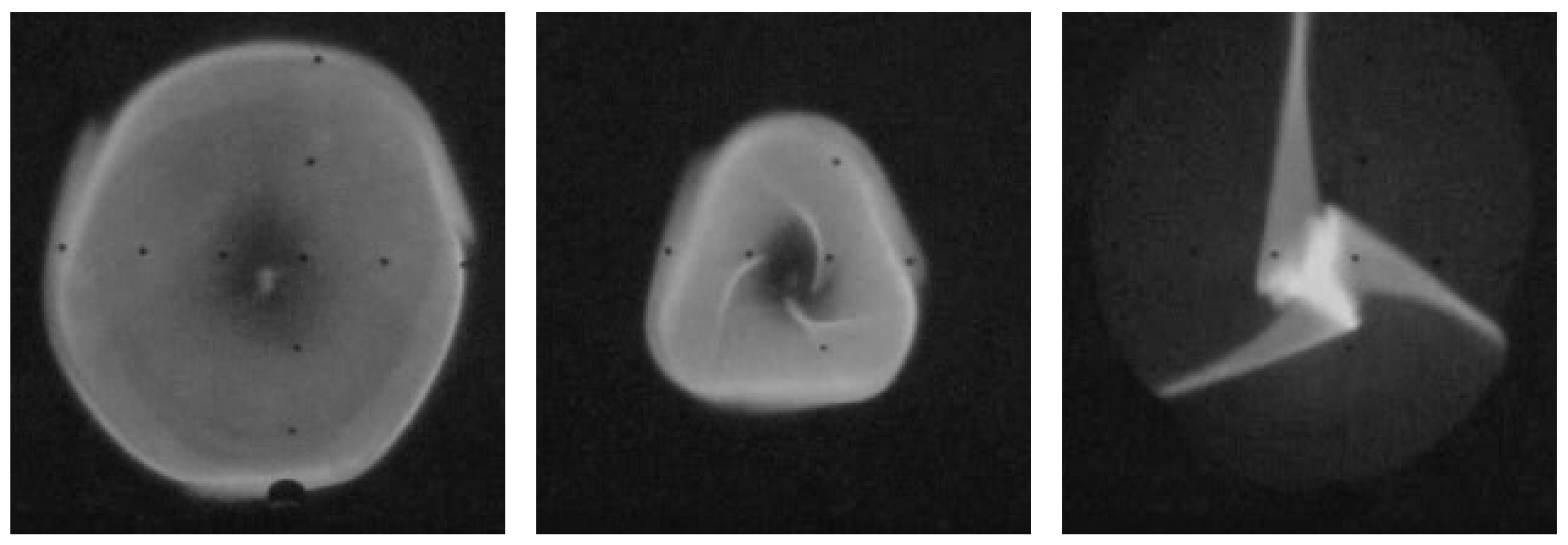 Plasma 04 00023 g005