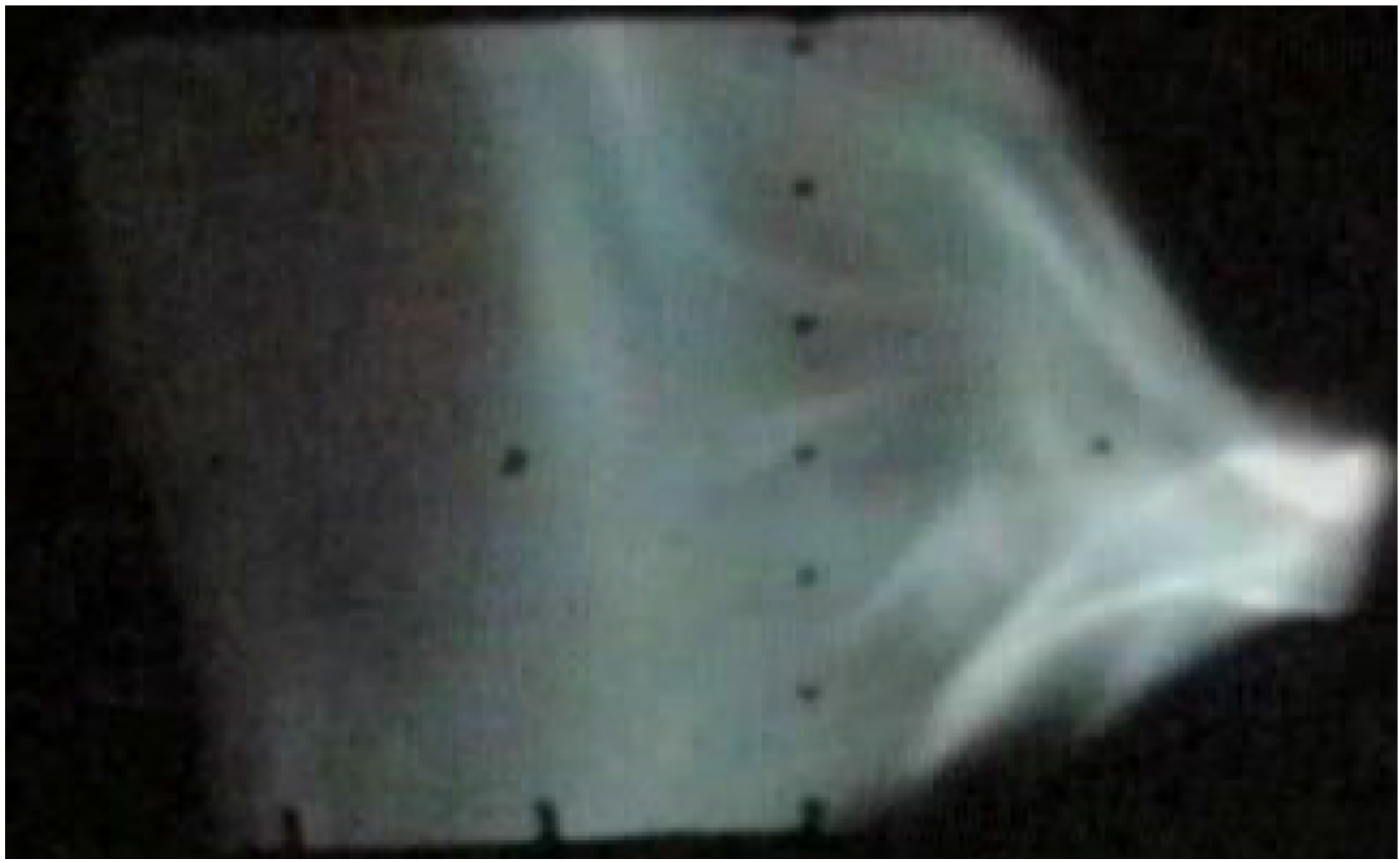 Plasma 04 00023 g006