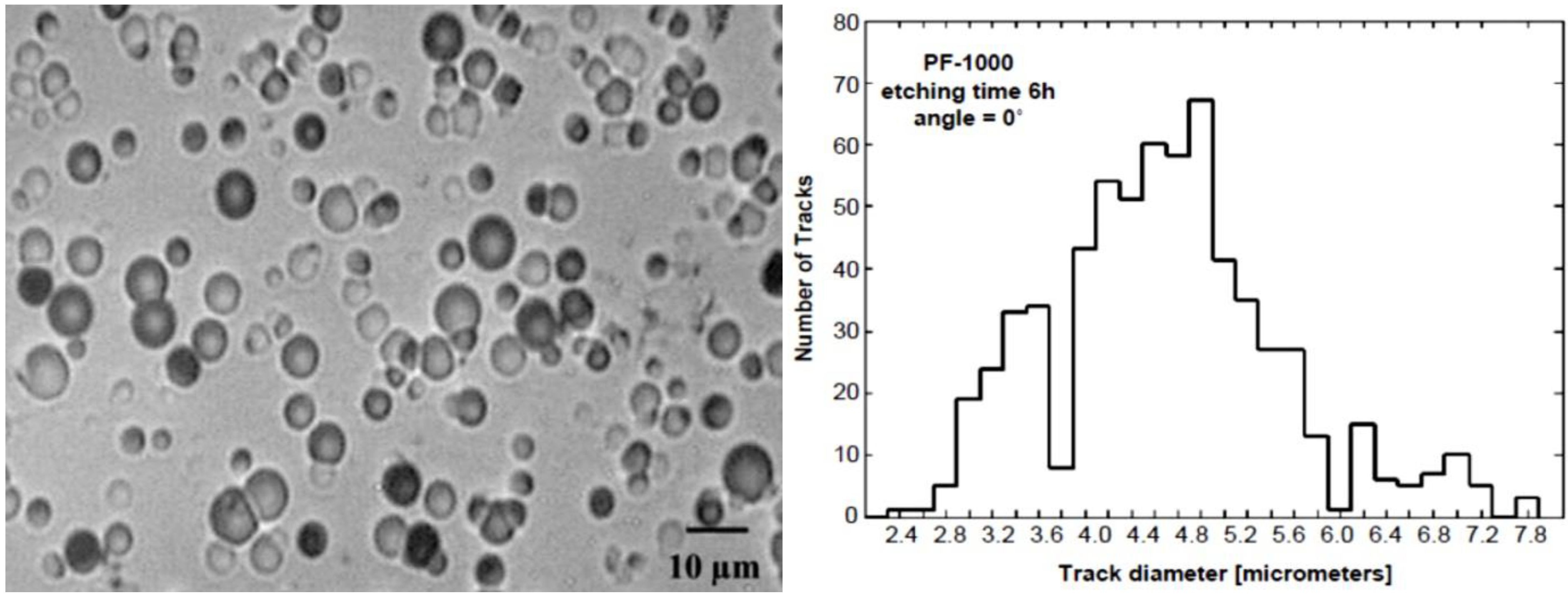 Plasma 04 00033 g005
