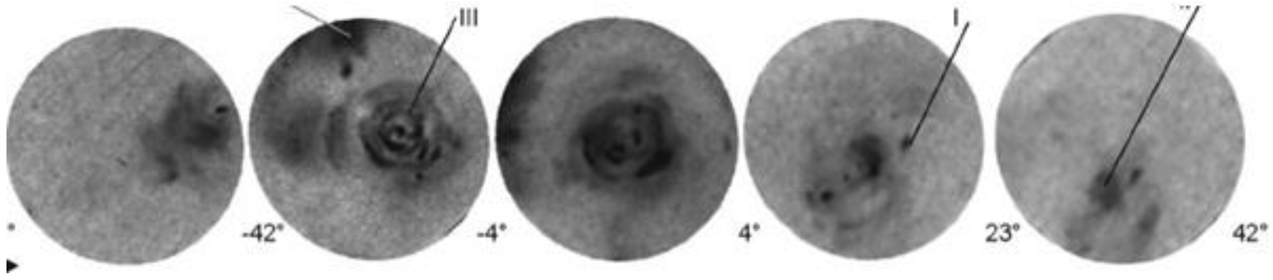 Plasma 04 00033 g013