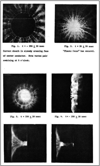 Plasma | Free Full-Text | Update On The Scientific Status Of The.