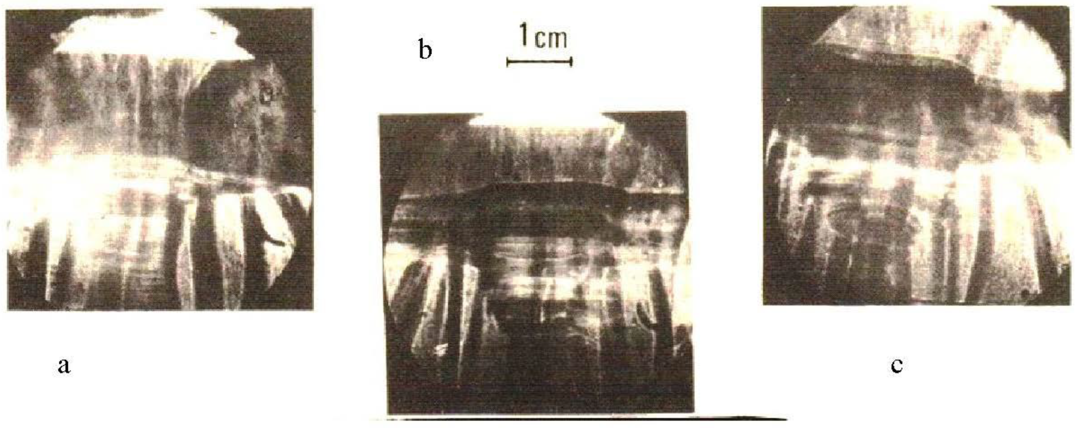 Plasma 04 00033 g018