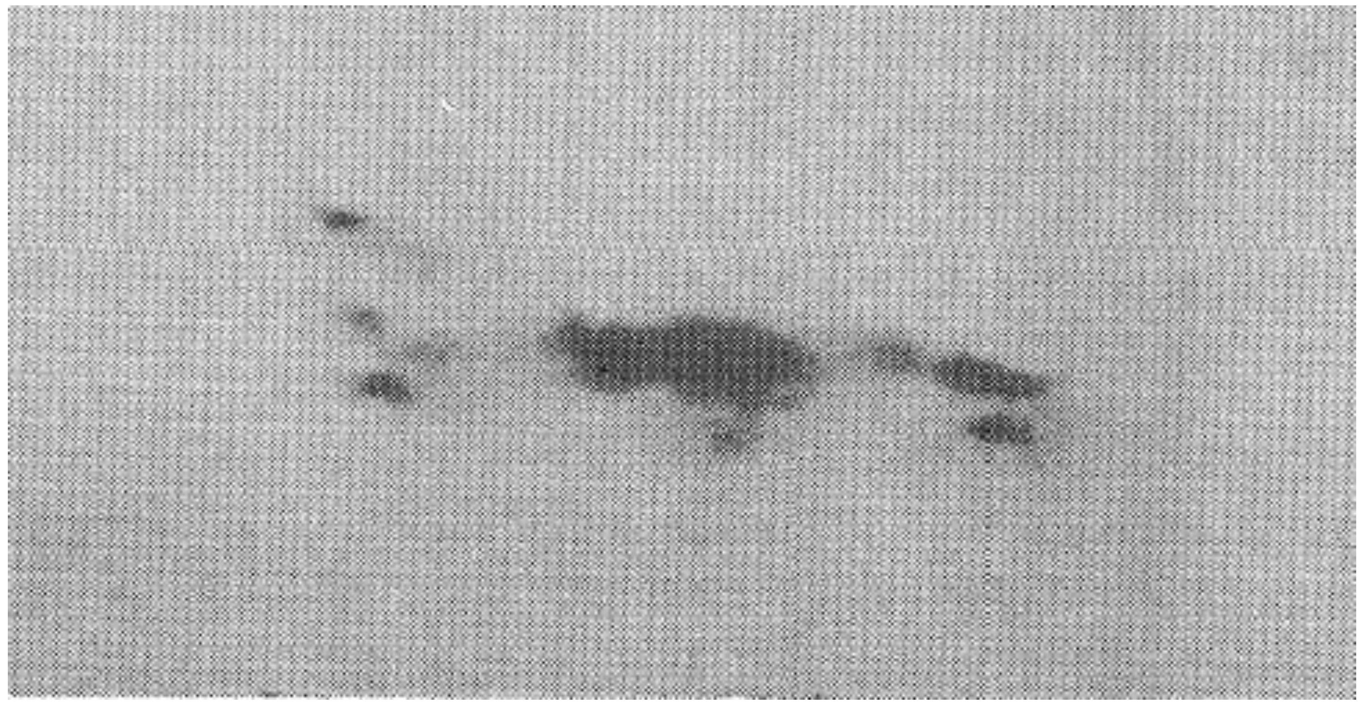 Plasma 04 00033 g020