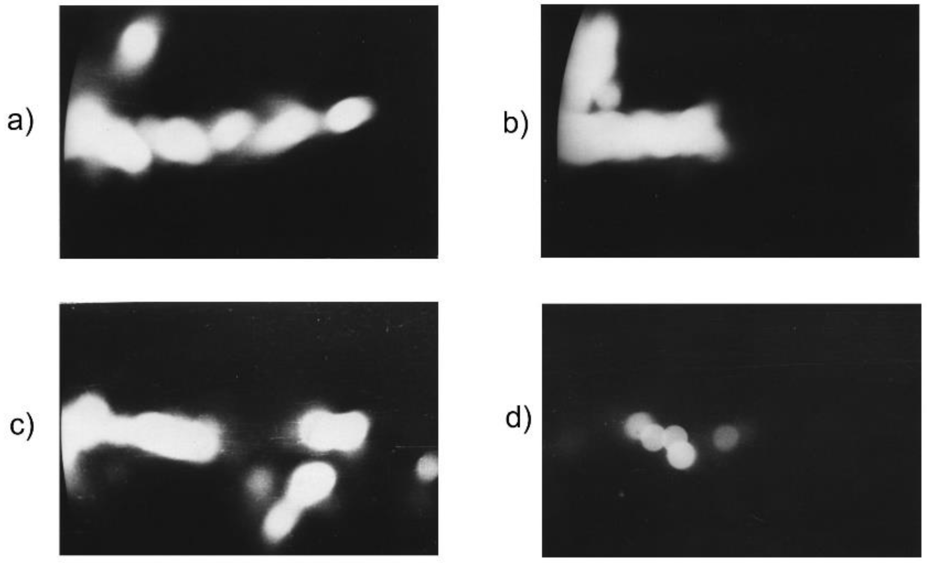 Plasma 04 00033 g022