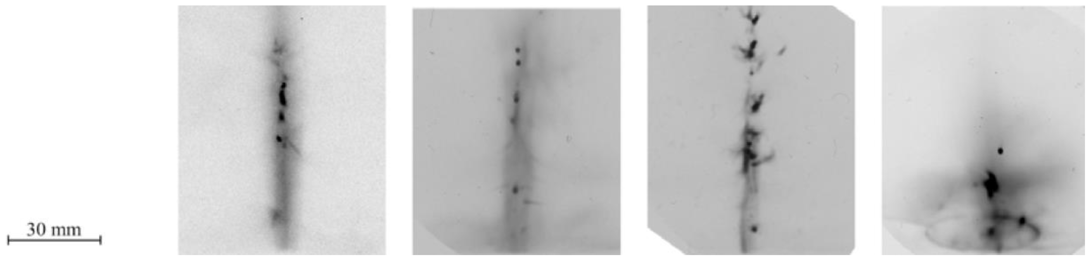 Plasma 04 00033 g023