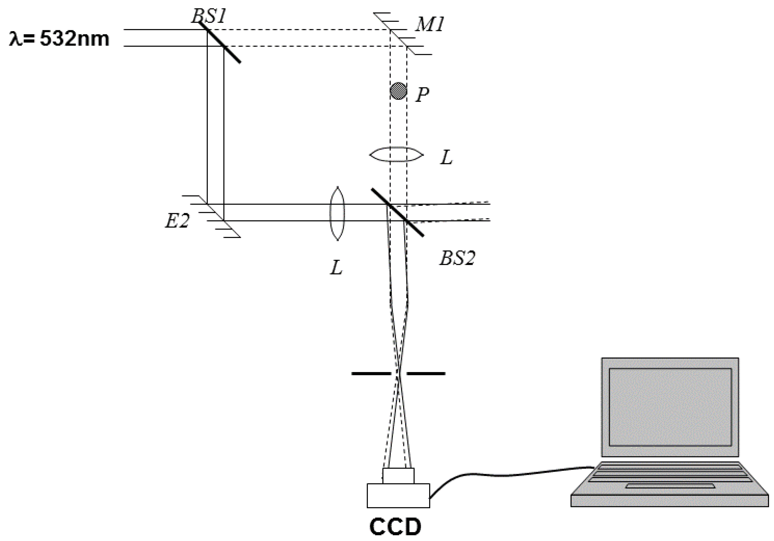 Plasma 04 00033 g038