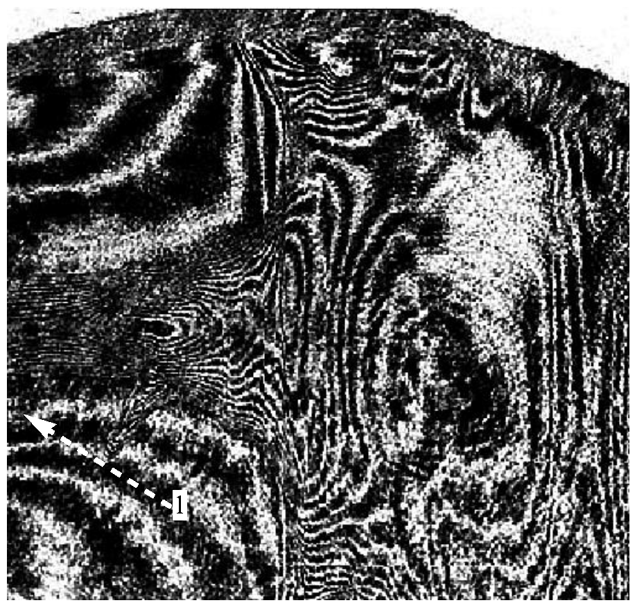 Plasma 04 00033 g085