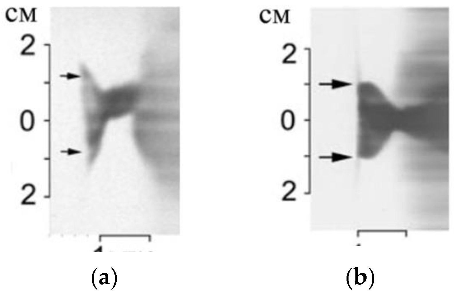 Plasma 04 00033 g123