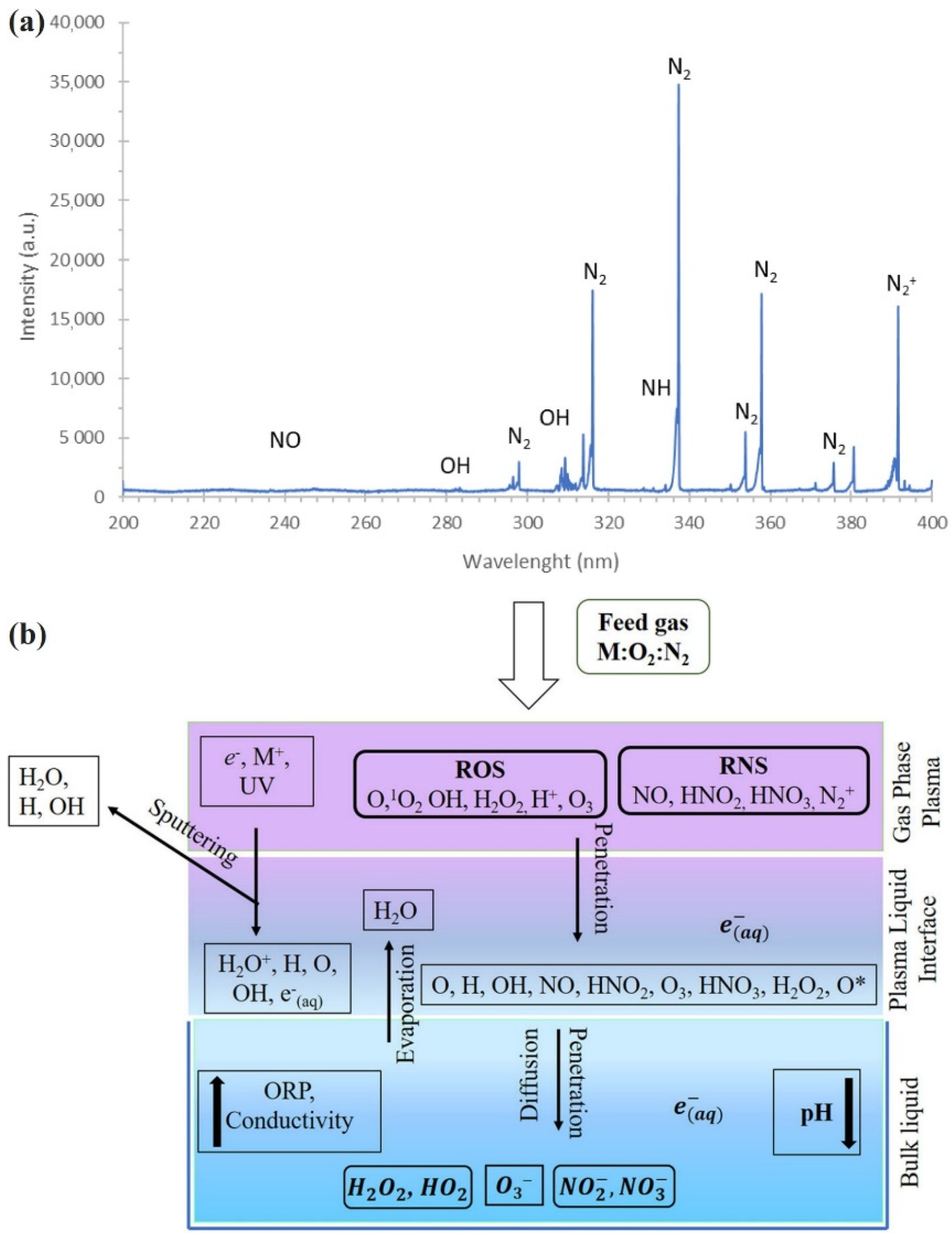Plasma 05 00008 g002 Plasma 05 00008 g002