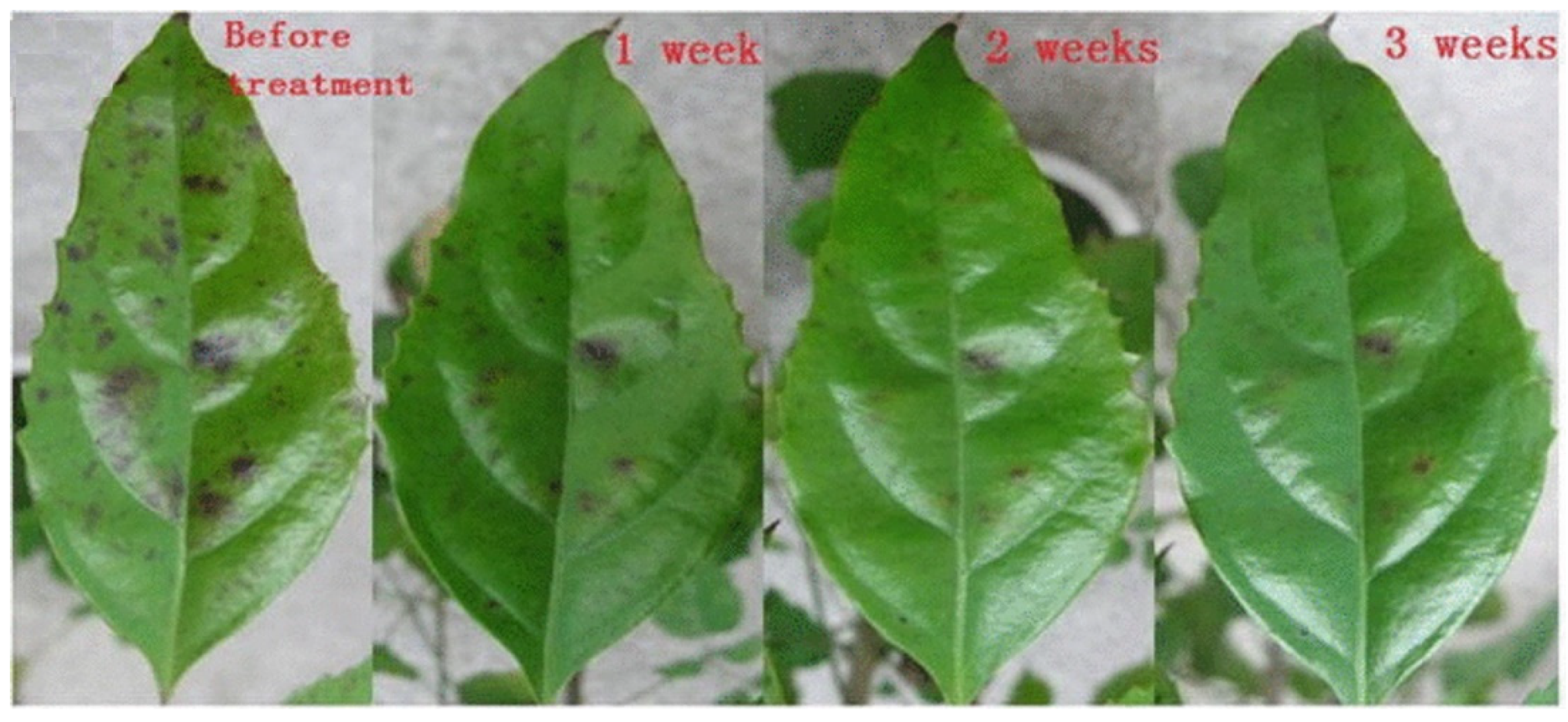 Plasma 05 00008 g003 Plasma 05 00008 g003