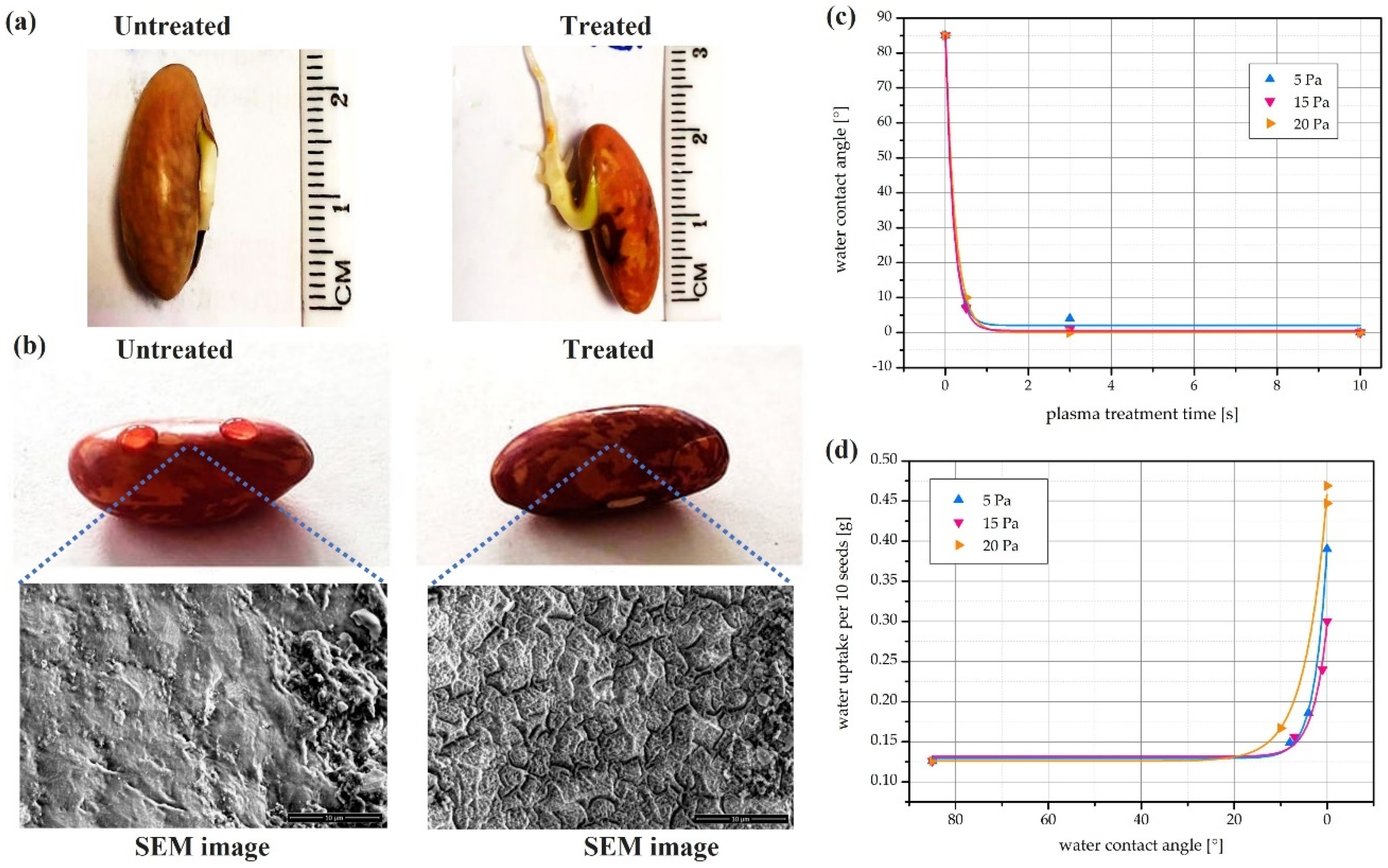 Plasma 05 00008 g006 Plasma 05 00008 g006