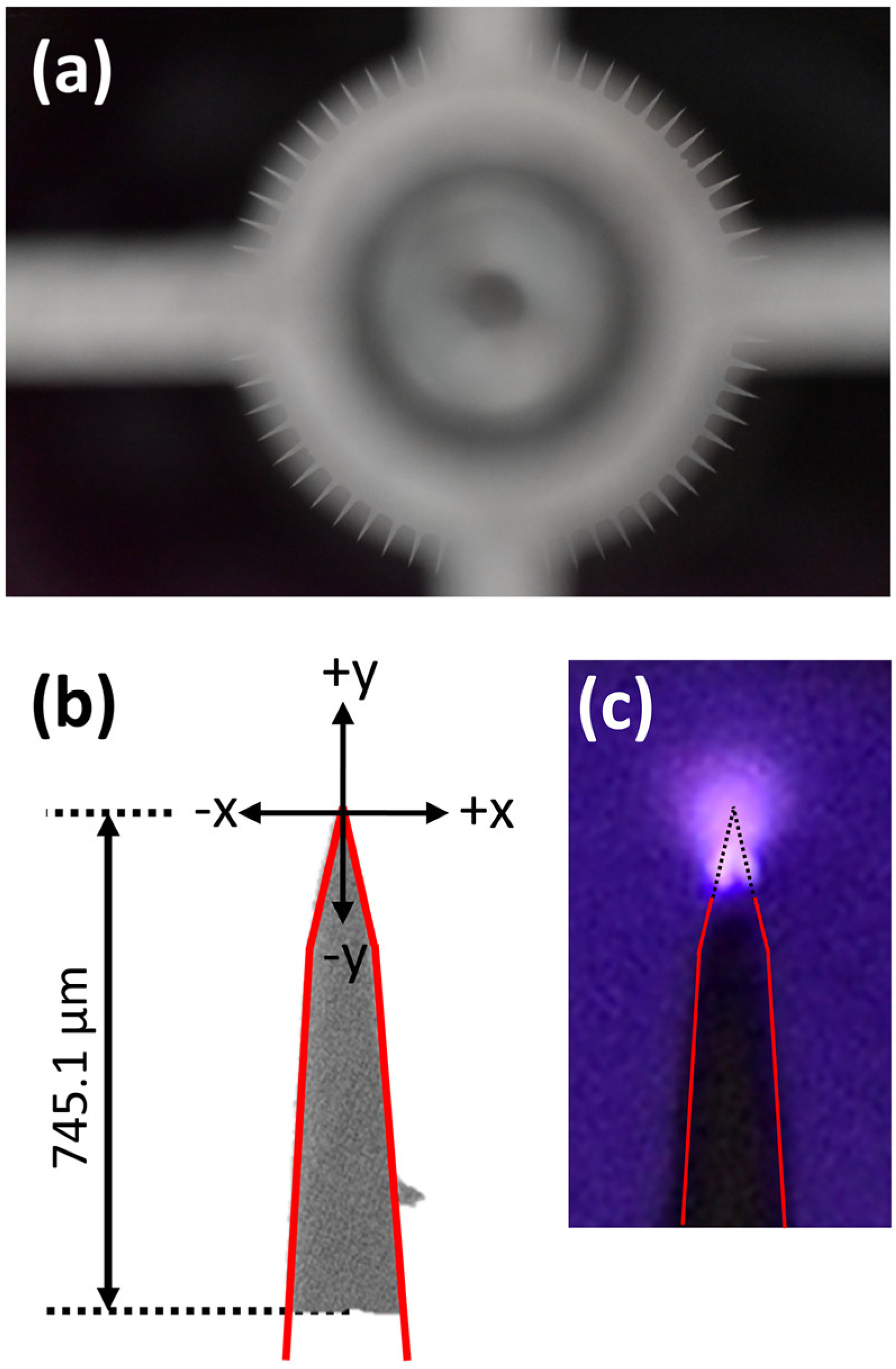 Plasma 05 00016 g002 550