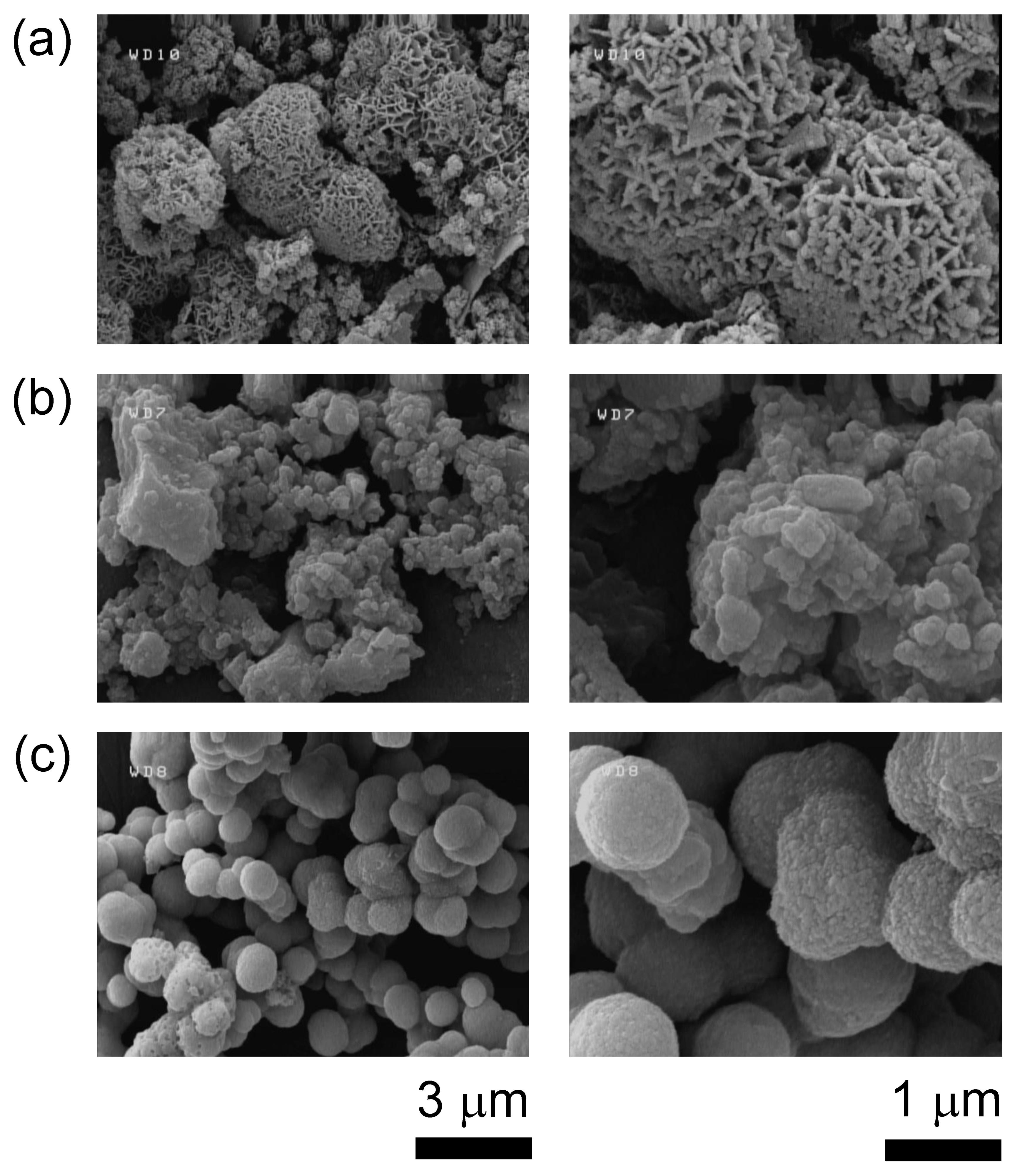 Plasma 05 00017 g001