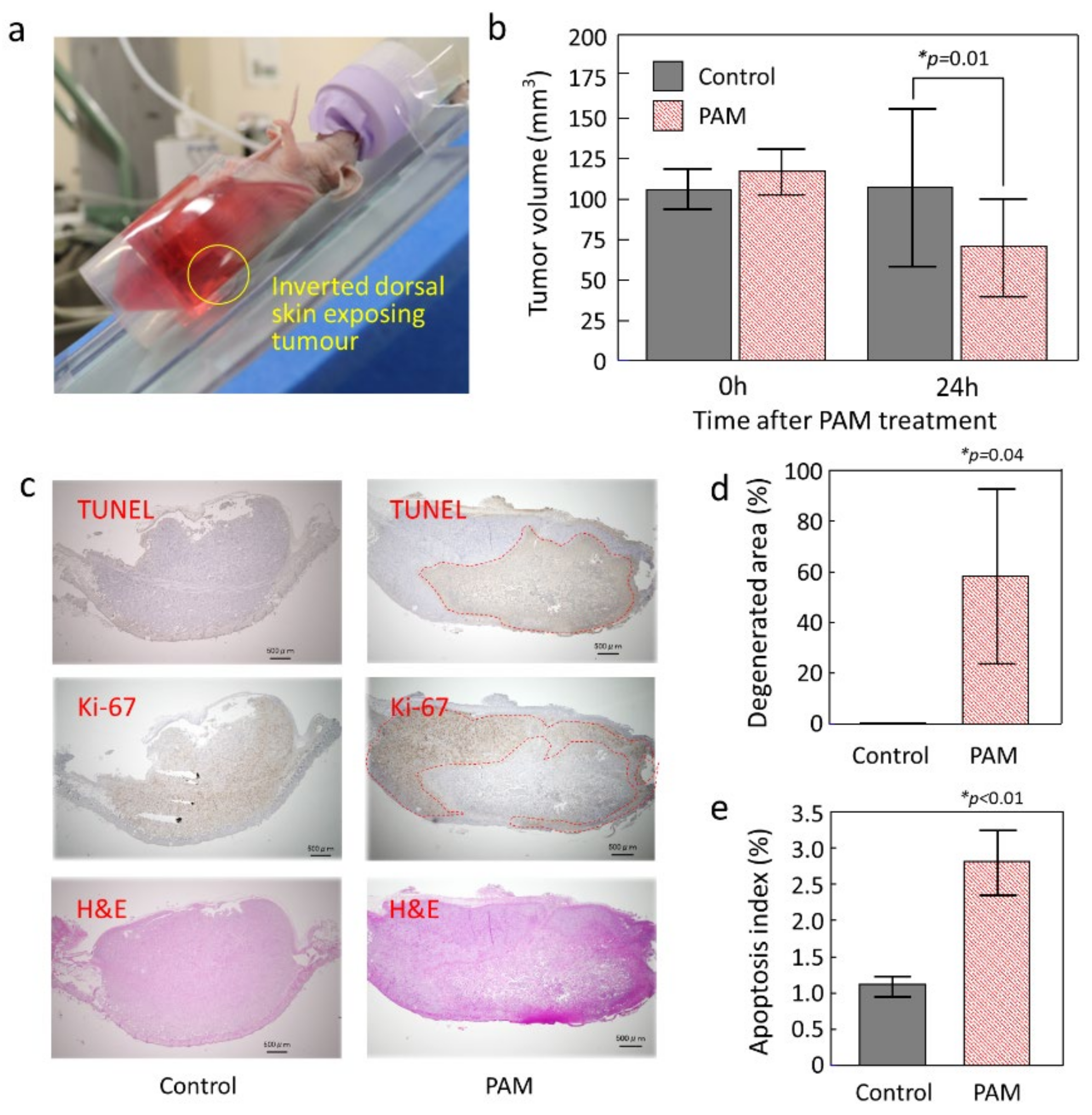 Plasma 05 00018 g004 Plasma 05 00018 g004